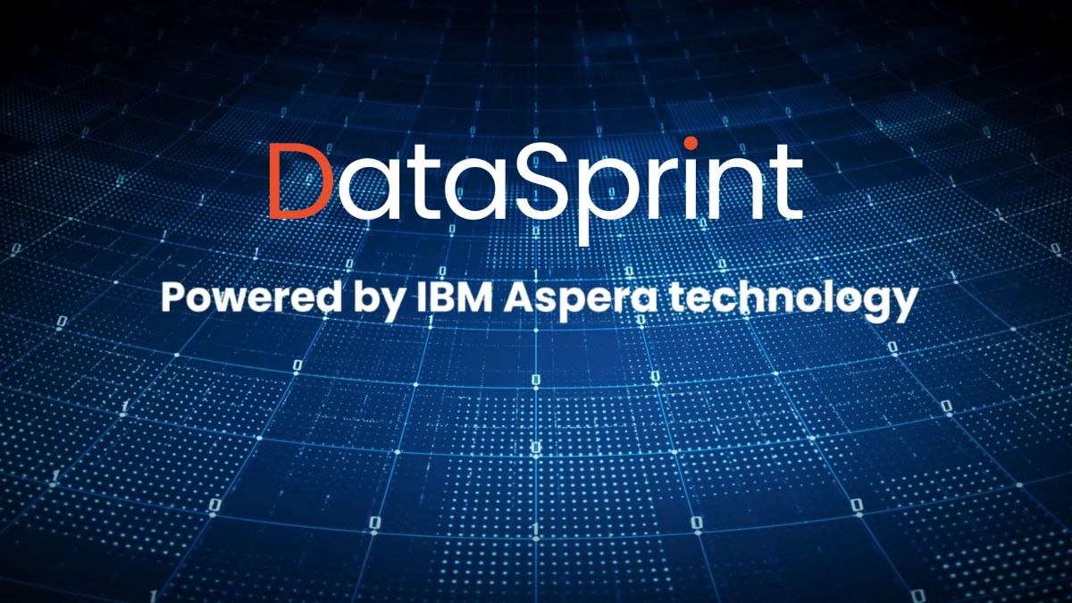 DataSprint by Dot Group: Cost-Effective Accelerated File Transfer